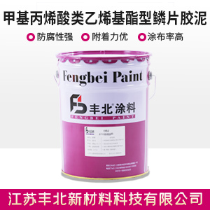 甲基丙烯酸類乙烯基酯型鱗片膠泥